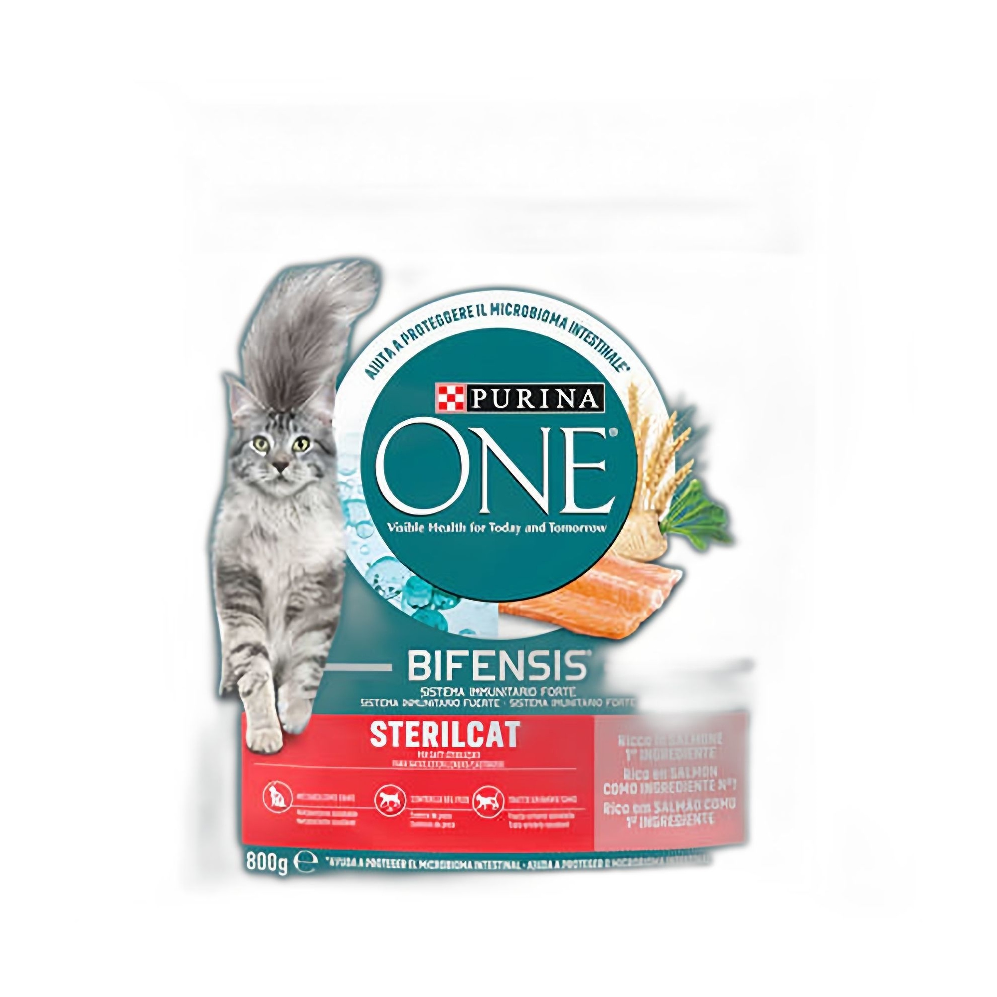 Purina One Sterilcat Somon ve Buğdaylı Kısırlaştırılmış Yetişkin Kedi Maması 800 G