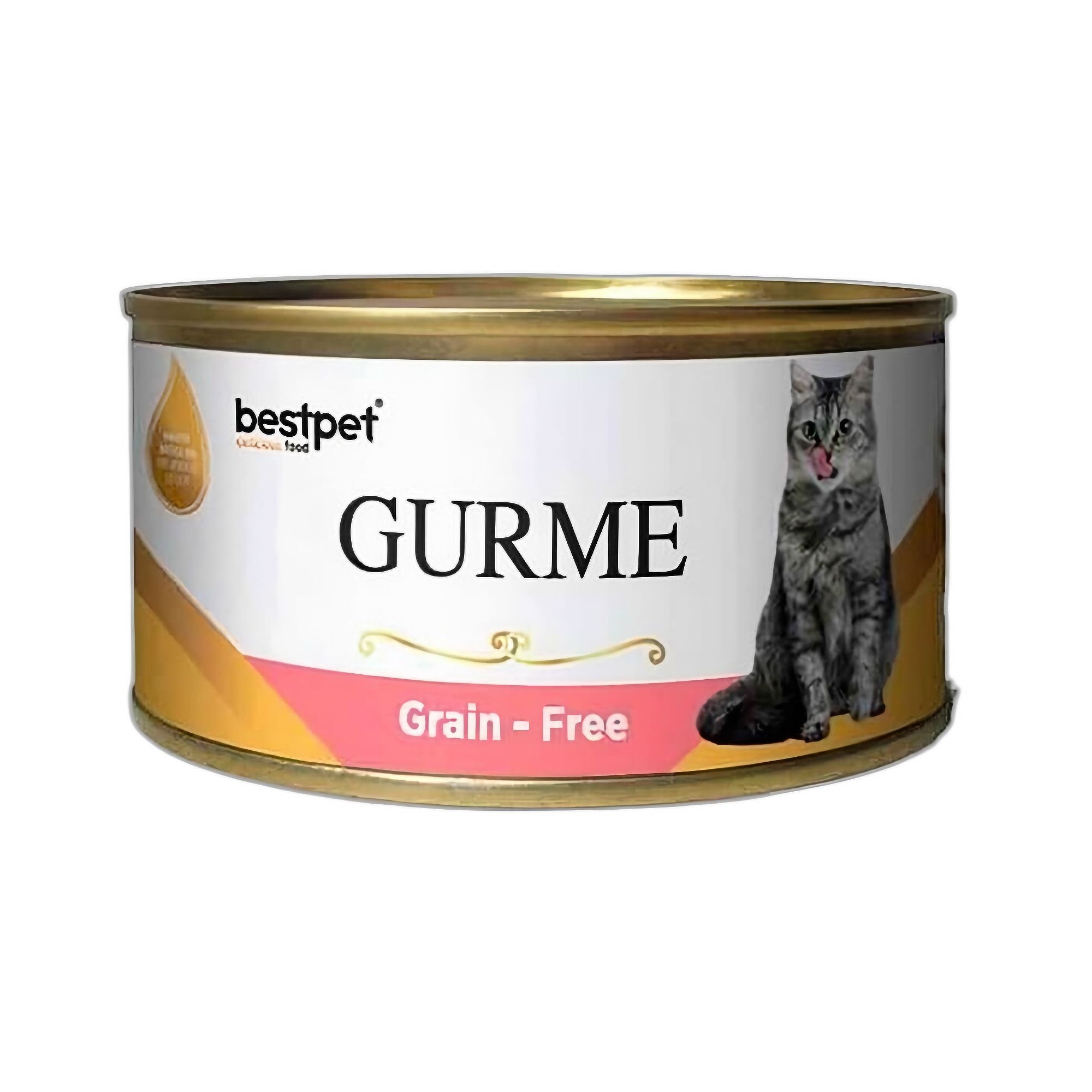 Bestpet Gurme Salmon in Jelly Somonlu Kısırlaştırılmış Yetişkin Kedi Konservesi  85G