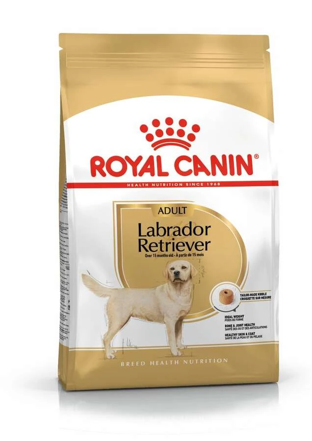 Royal Canin Adult Labrador Retriever Yetişkin Köpek Maması 12 KG - Ana Görsel
