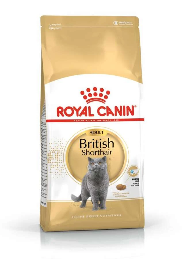 Royal Canin British Shorthair Yetişkin Kedi Maması 4 KG - Ana Görsel