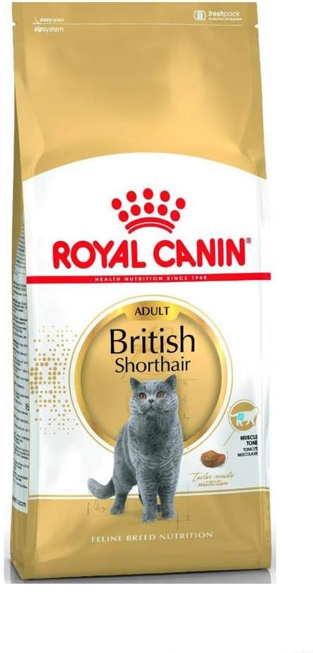 Royal Canin British Shorthair Yetişkin Kedi Maması 10 KG - Ana Görsel