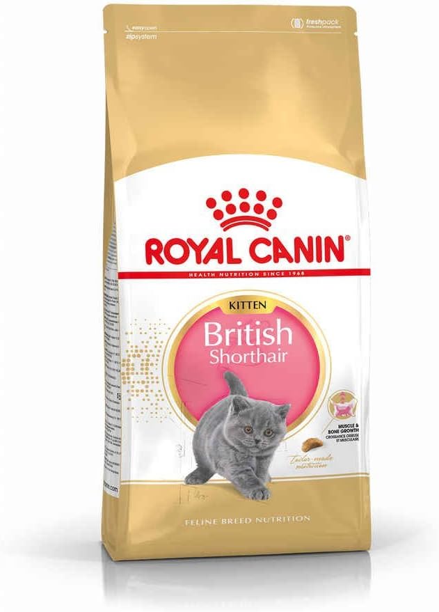 Royal Canin British Shorthair Kitten Yavru Kedi Maması 2 KG - Ana Görsel