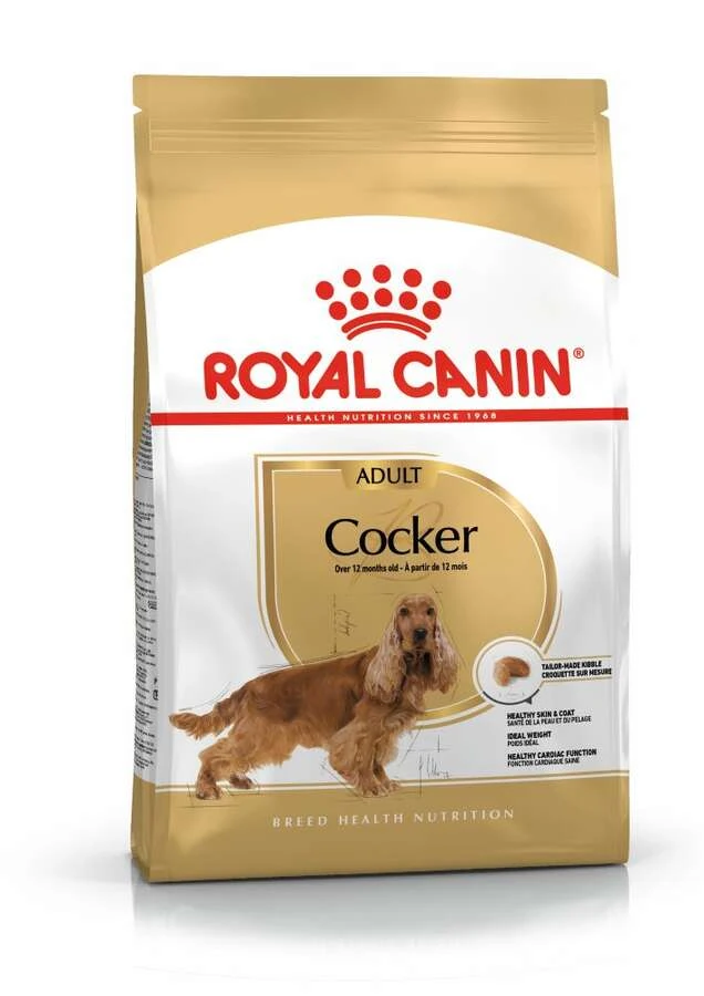 Royal Canin Cocker Yetişkin Köpek Maması 3 KG - Ana Görsel