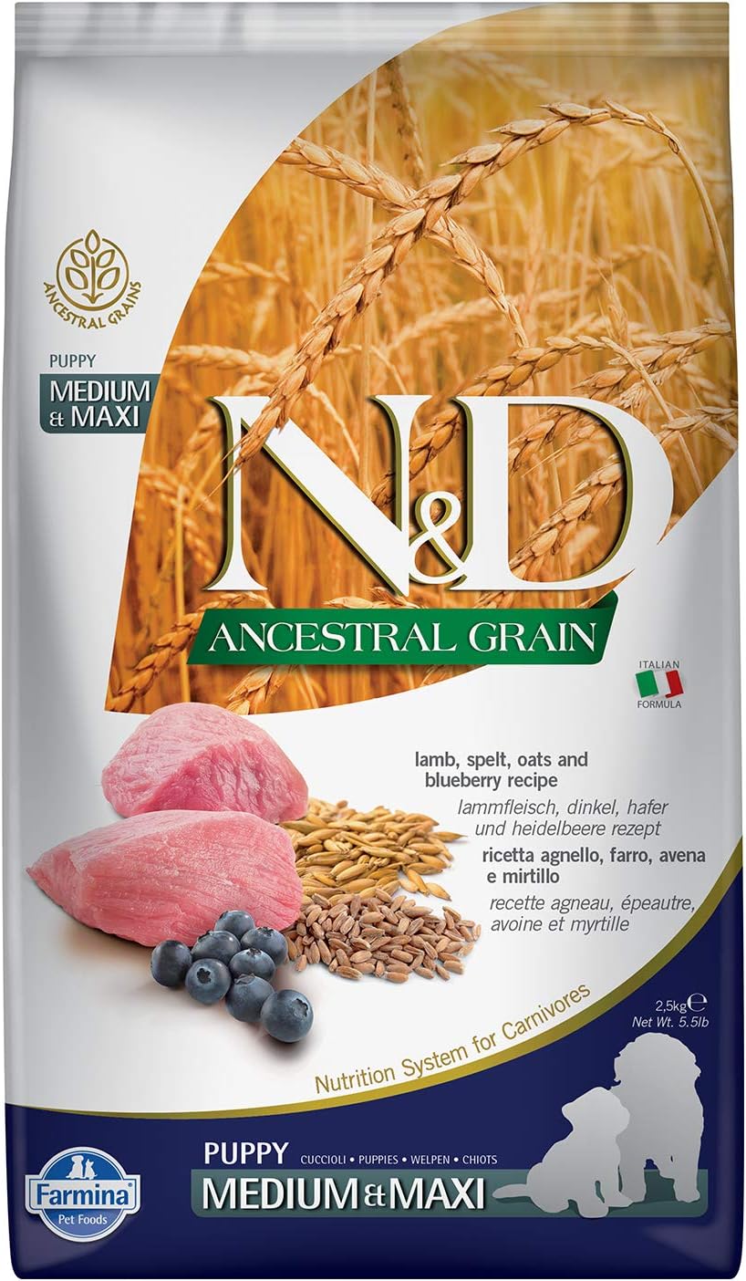 N&D Ancestral Grain Ata Tahıllı Kuzu Etli Buğdaylı Yaban Mersinli ve Yulaflı Büyük ve Orta Irk Yavru Köpek Maması 2.5 KG - Ana Görsel