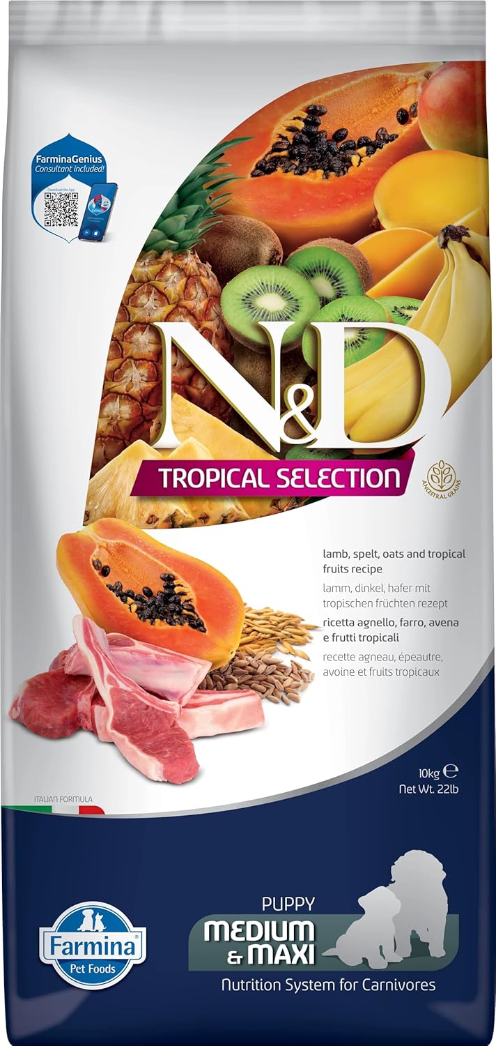 N&D Tropical Selection Kuzu Etli ve Tropikal Meyveli Orta ve Büyük Irk Yavru Köpek Maması 10 KG - Ana Görsel
